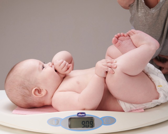 Babamérleg kölcsönzés