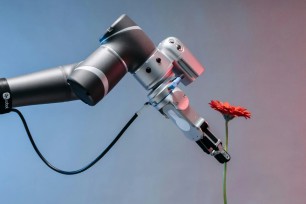 Gyors, modern kiszolgálás