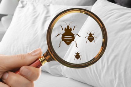 Nyaralás mellékhatással – röviden az ágyi poloskákról