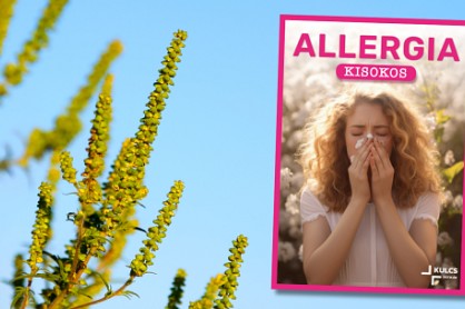 Allergia kisokos - töltsd le itt!